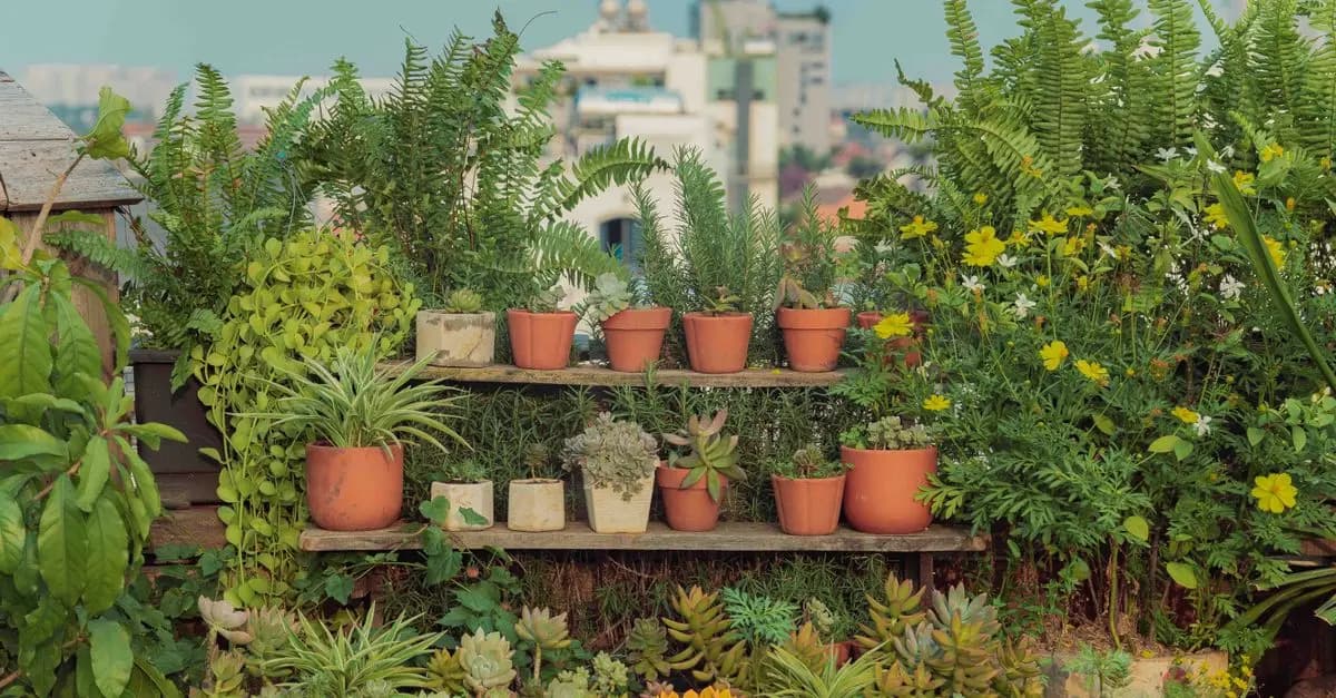 Les Plantes Indispensables pour un Jardin Écologique