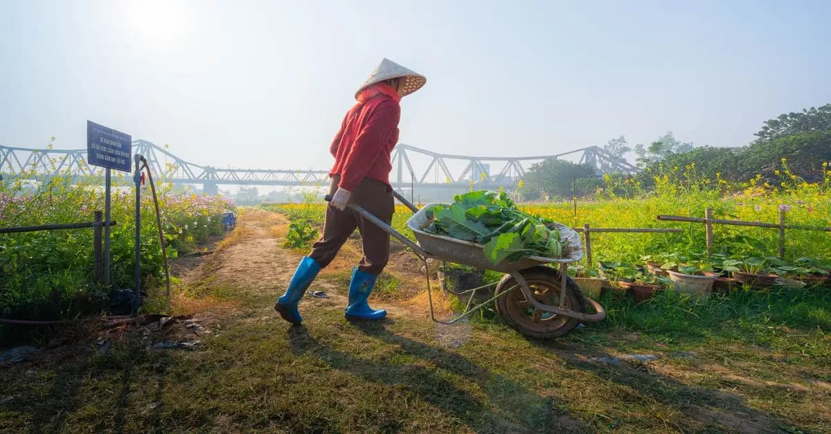 Les bienfaits du jardinage sur notre santé mentale et physique