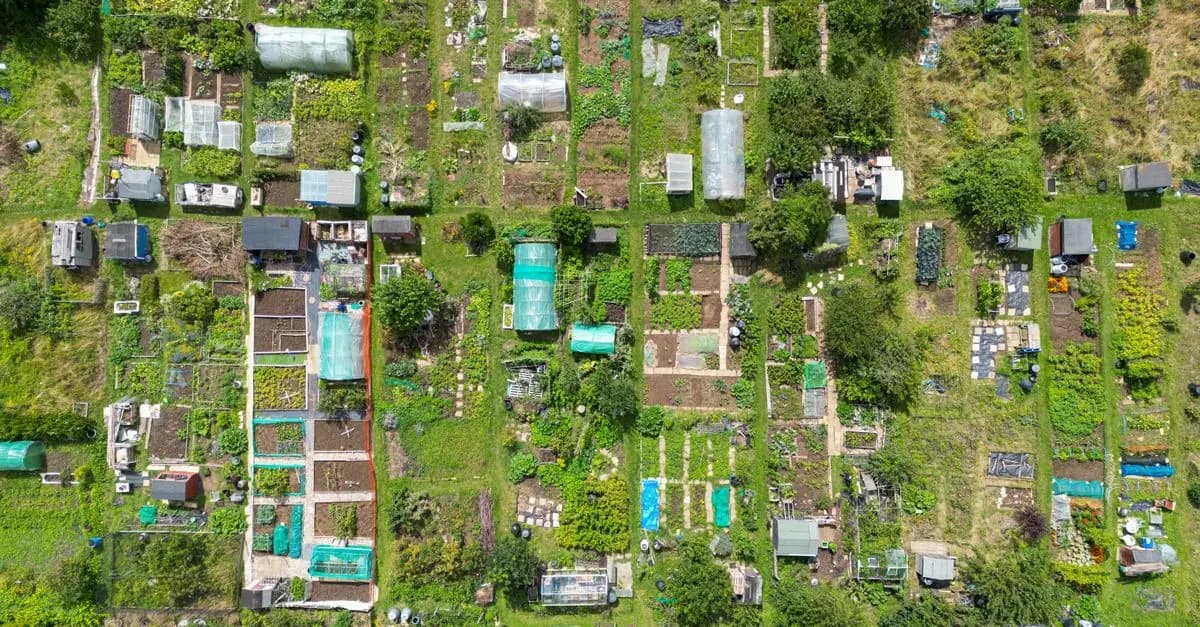 10 Astuces Pour Créer Un Jardin Résilient Face Au Changement Climatique