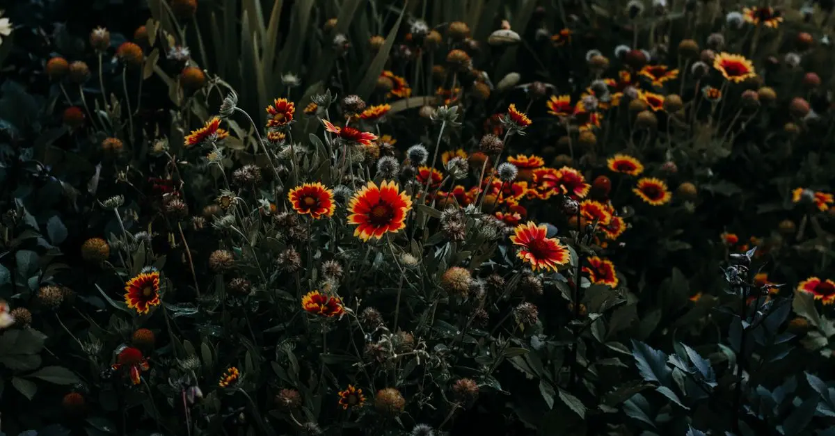 Les 10 Meilleures Plantes à Fleurs pour un Jardin Coloré