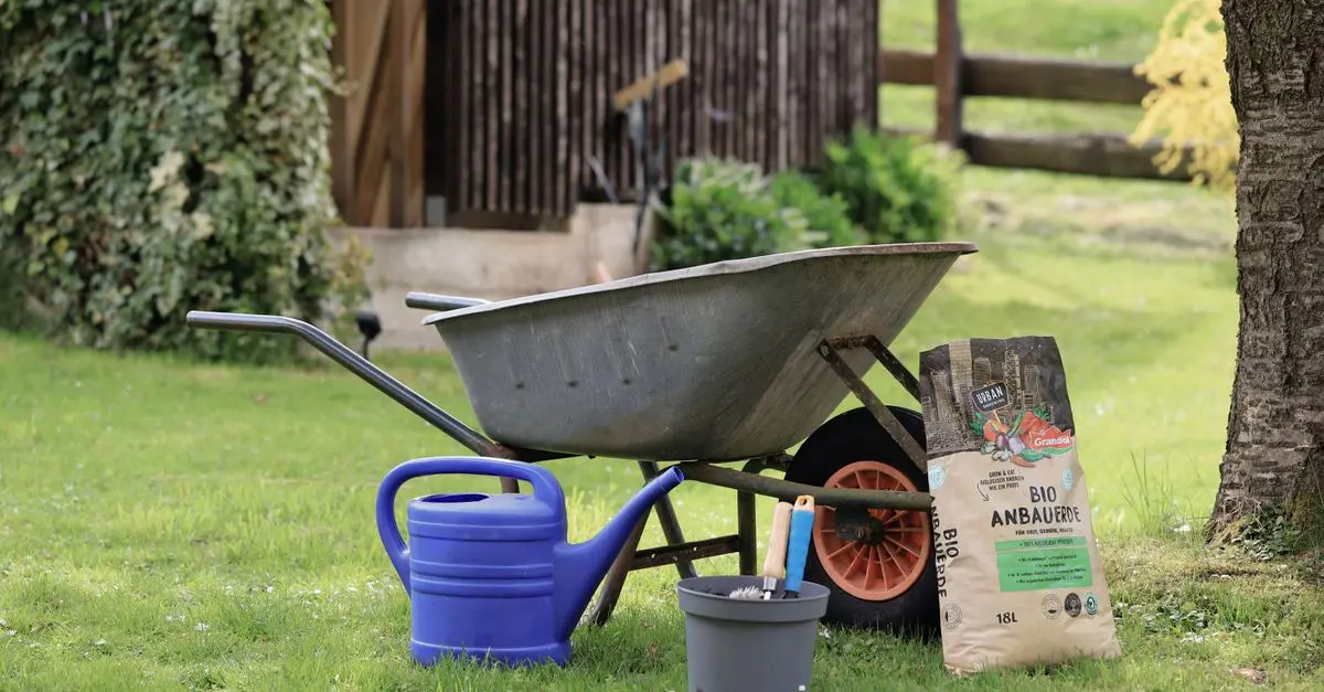 Comment aménager un jardin qui attire la biodiversité