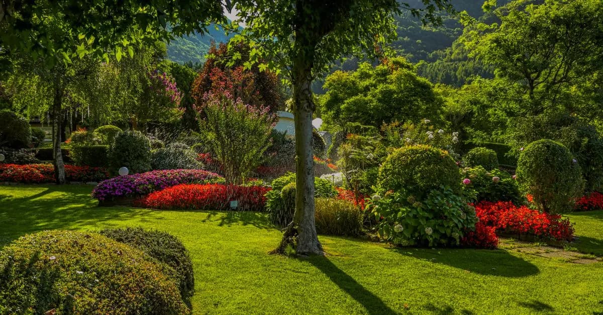 Les 10 meilleures plantes à fleurs pour un jardin coloré
