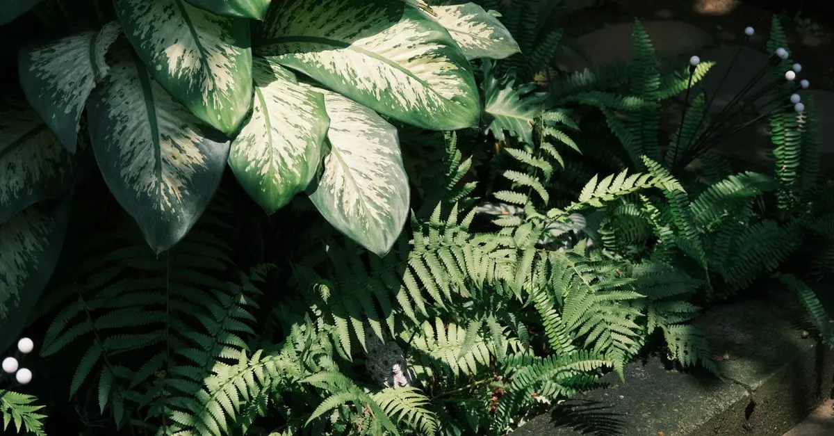 Les erreurs courantes en jardinage et comment les éviter