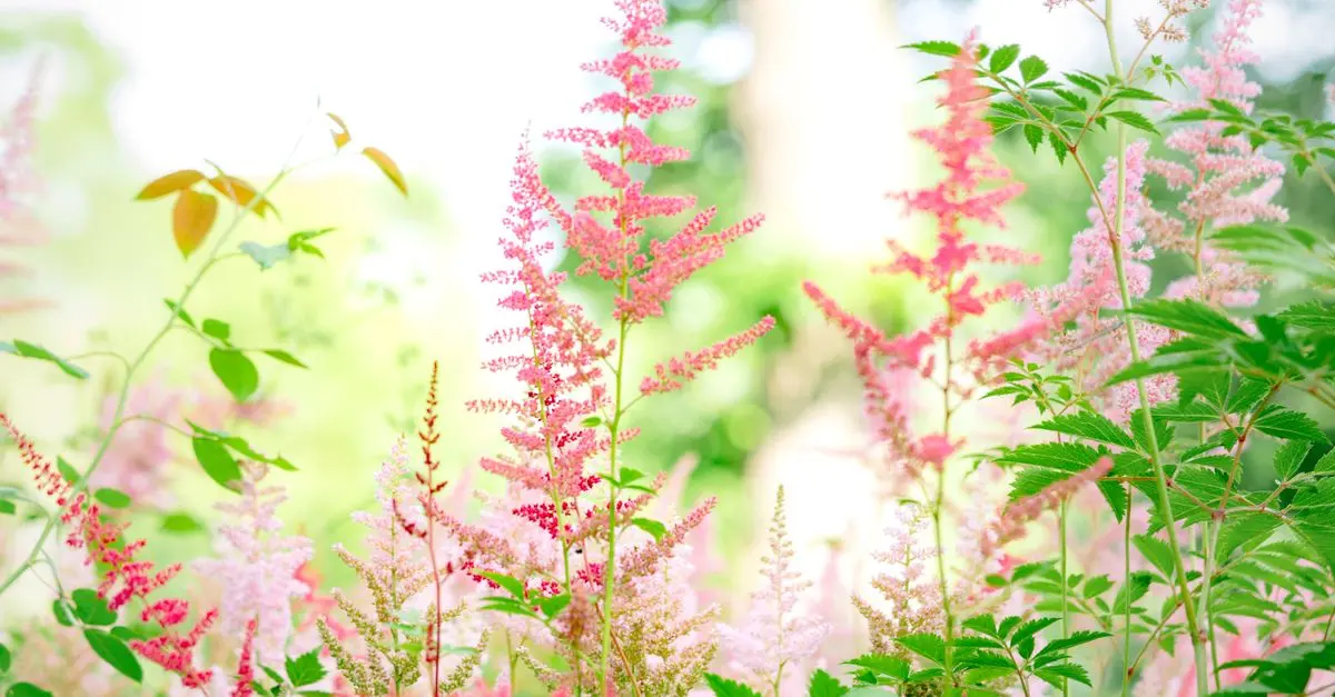 Les plantes vivaces à privilégier pour un jardin durable