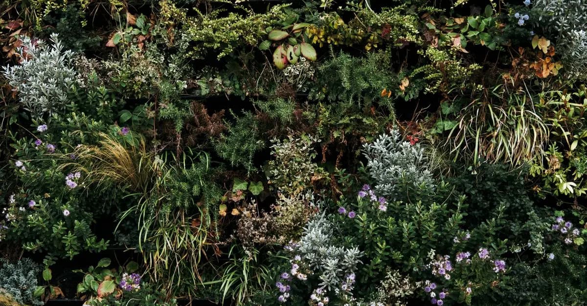 Les 5 engrais naturels les plus efficaces pour votre potager