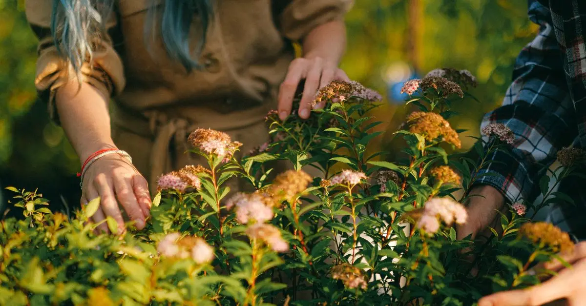Comment créer un jardin attractif pour les oiseaux