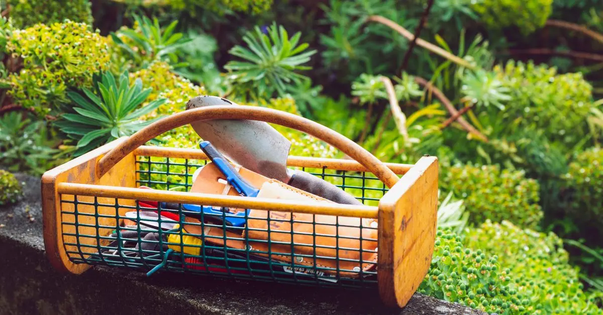 Comment entretenir votre jardin en automne : conseils pratiques