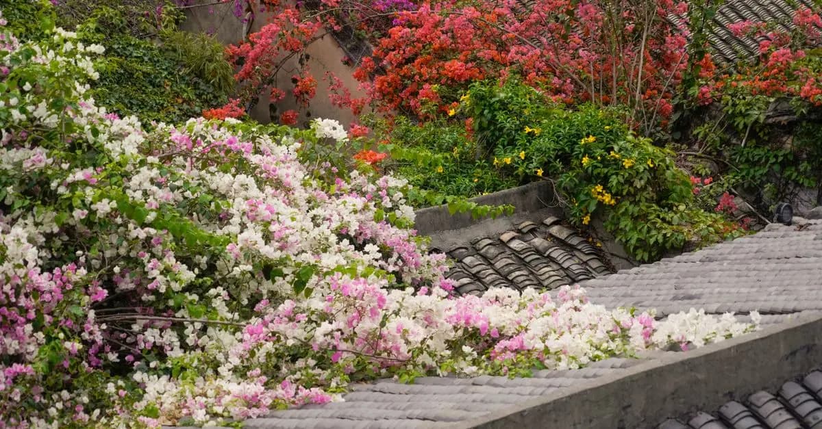 Transformez votre terrasse en jardin luxuriant