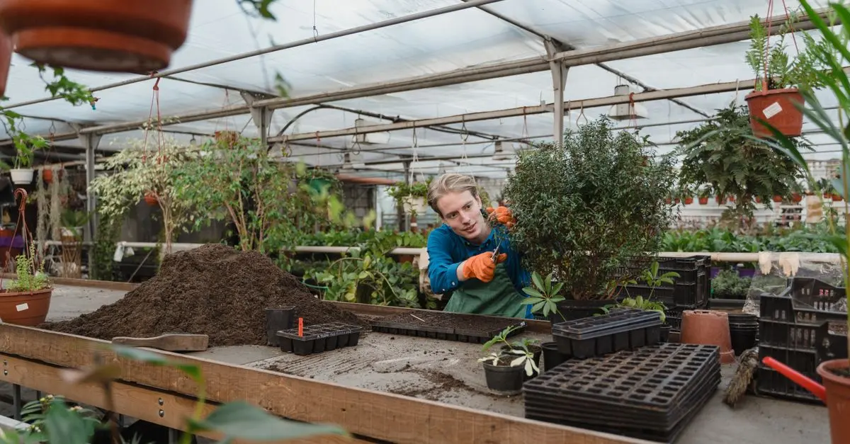 Les Meilleurs Conseils pour Créer un Jardin Écologique
