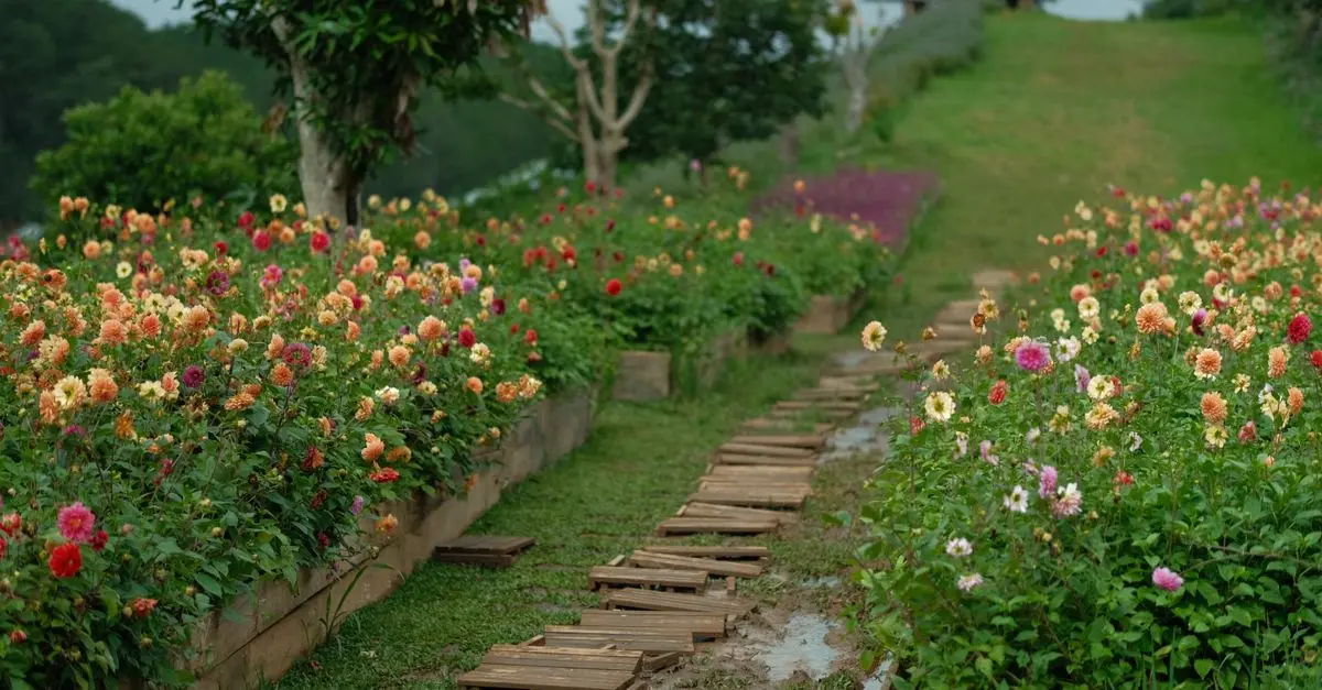 Calendrier des semis : Quand planter vos légumes et fleurs