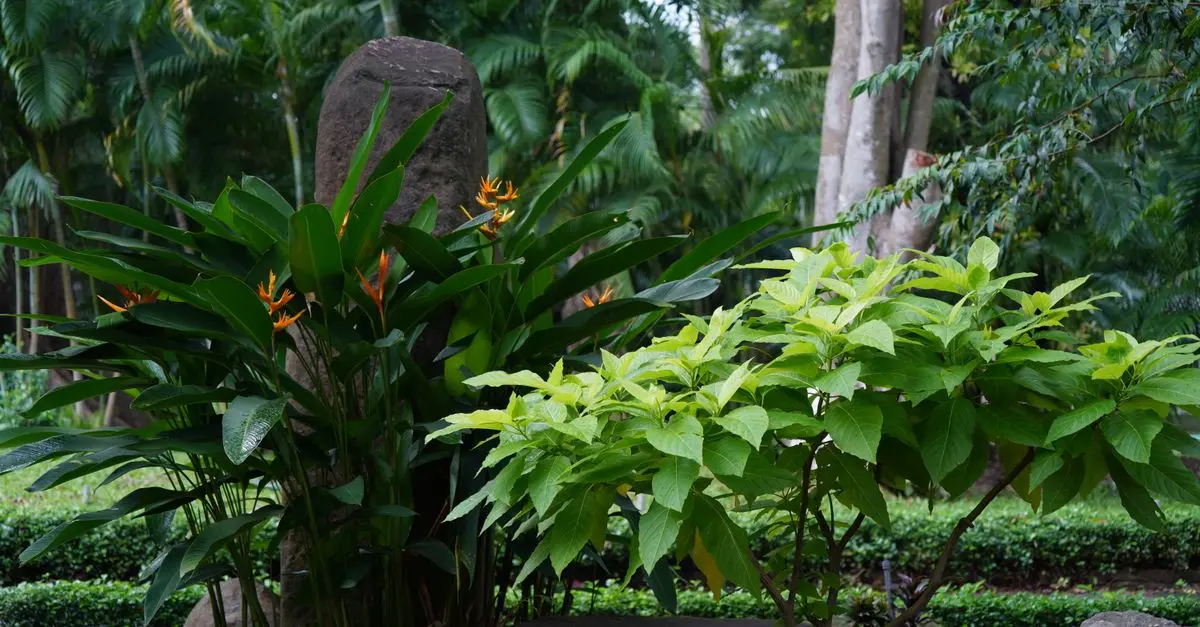 Comment Créer Un Jardin Sensible aux Changements Climatiques
