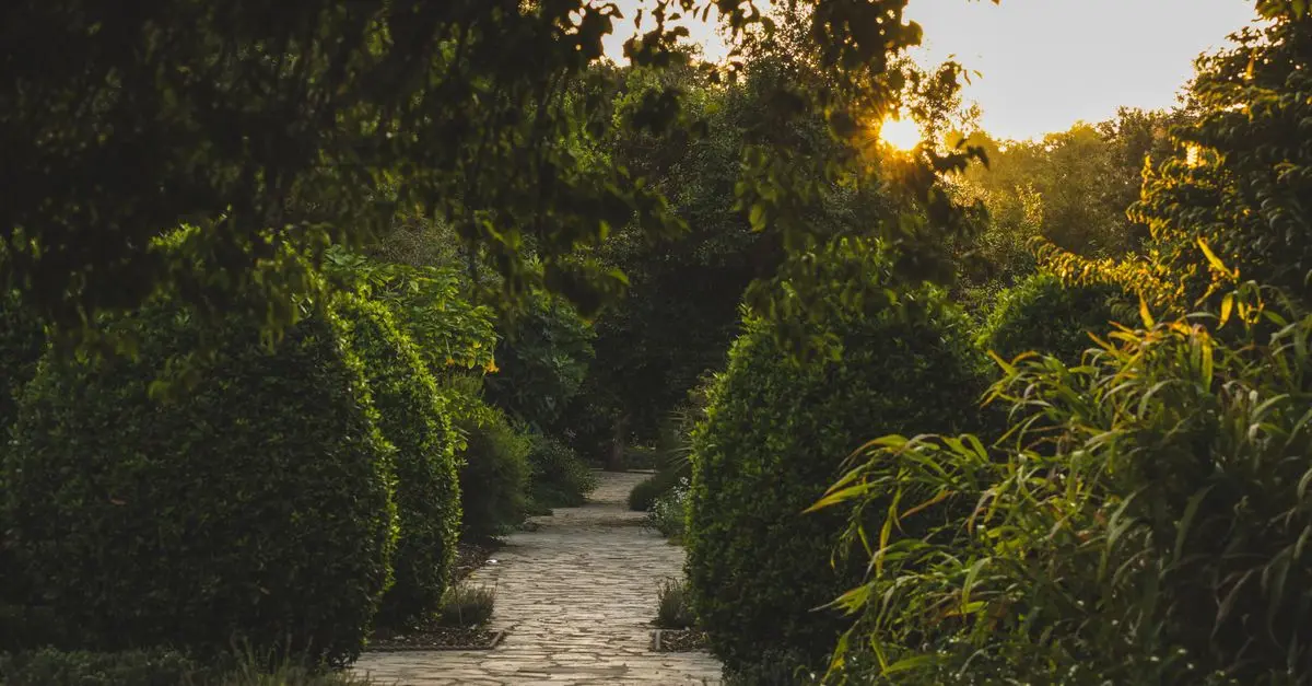 Comment créer un jardin biologique facilement : Guide pratique