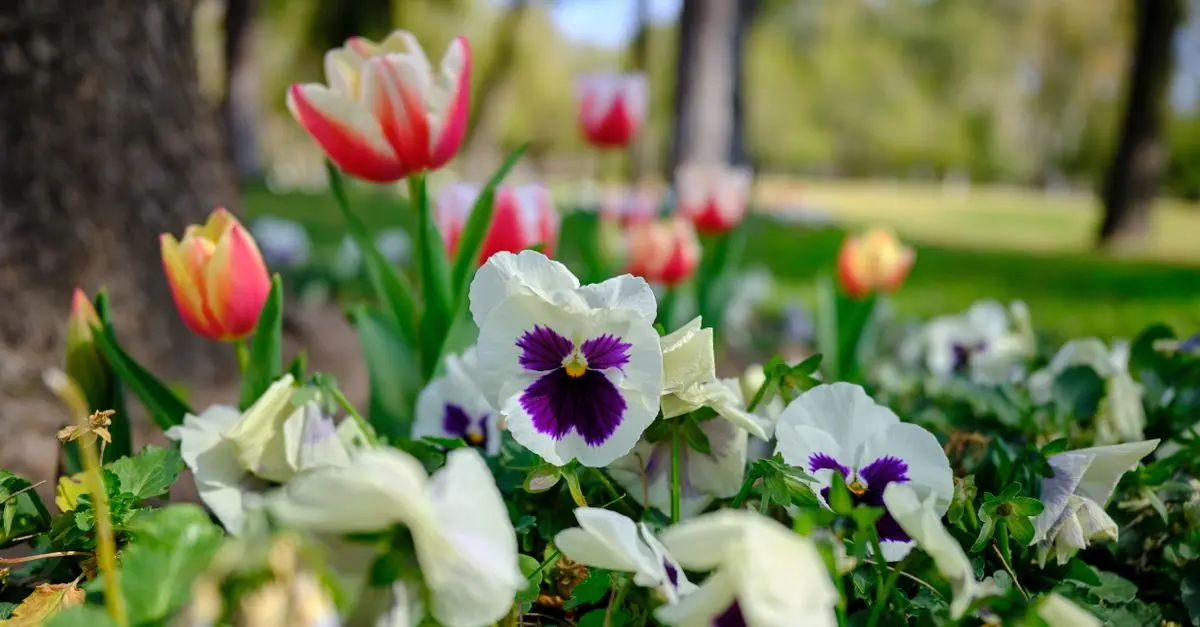 Les meilleures plantes pour un jardin de saison