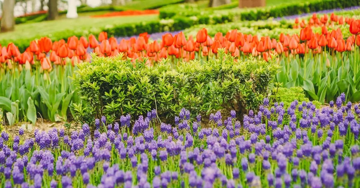 Les Plantes Parfaites Pour Éveiller Votre Jardin au Printemps