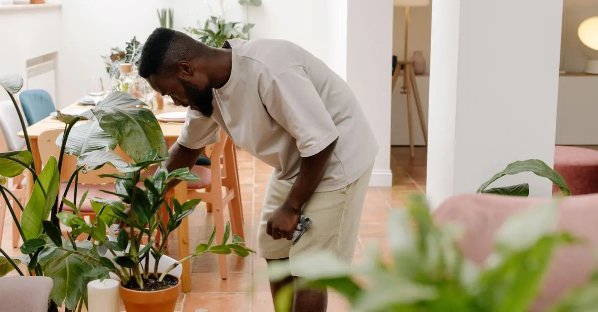 Les meilleures pratiques pour cultiver des plantes d'intérieur