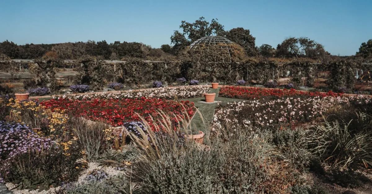 Les bienfaits du jardinage pour votre bien-être