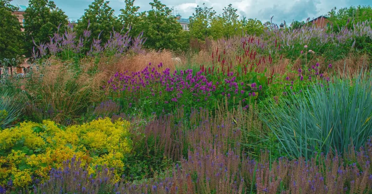 Comment créer un jardin écologique et durable : Guide étape par étape