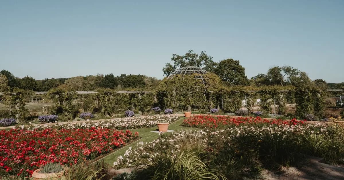 Les Bienfaits du Jardinage : Pourquoi Cultiver des Plantes ?