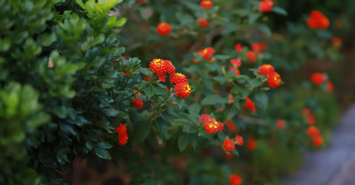 Comment choisir les plantes parfaites pour un jardin d'hiver