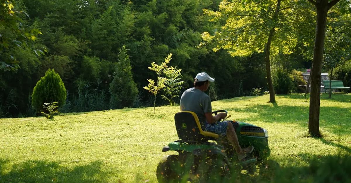 Comment protéger vos plantes des maladies naturelles