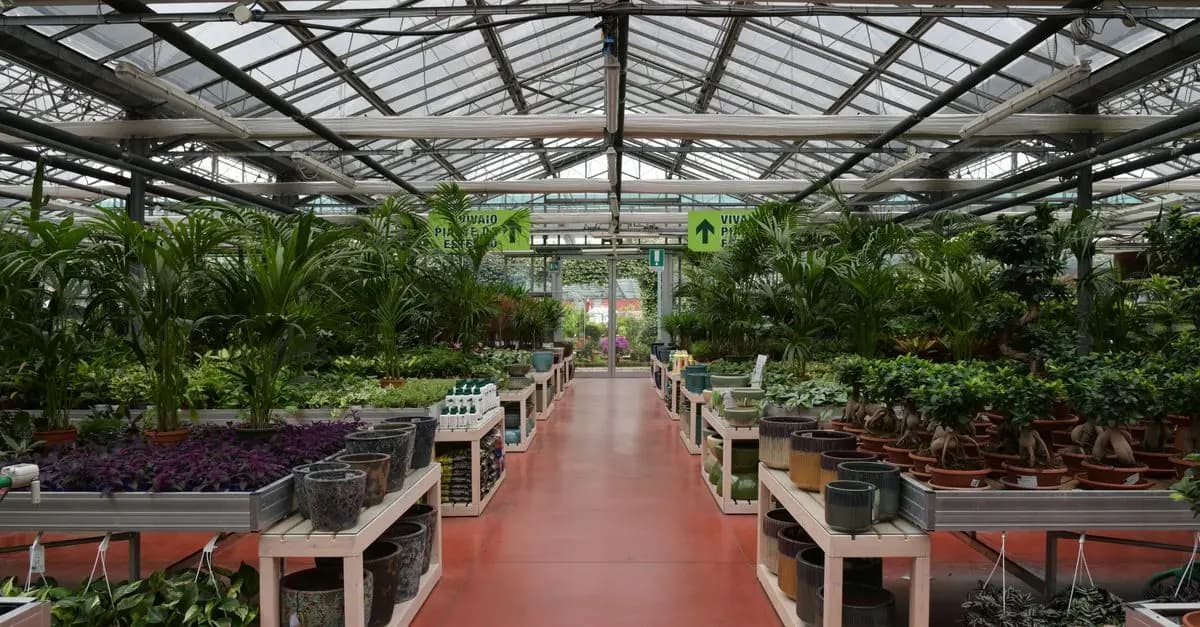 Les plantes d'intérieur tendance à adopter pour un cadre verdoyant