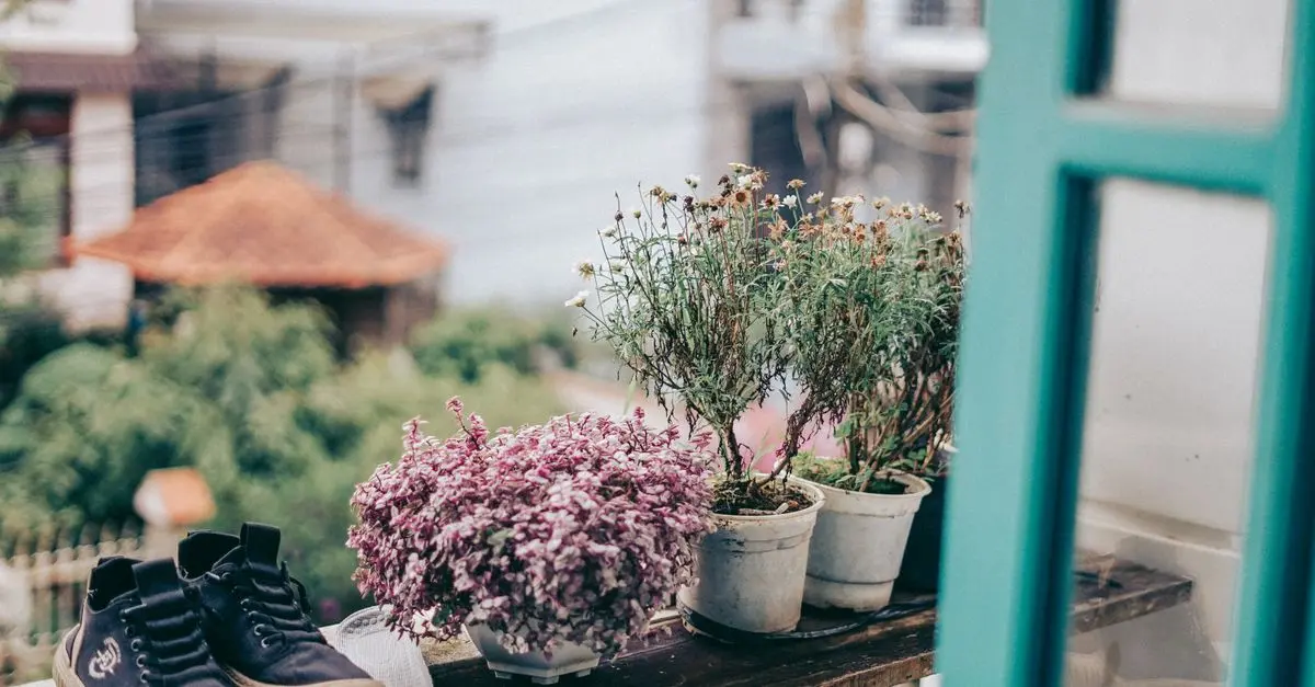 Les Meilleures Techniques pour Aménager un Jardin Urbain