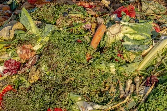 10 Astuces Pour Aménager Un Jardin Écologique