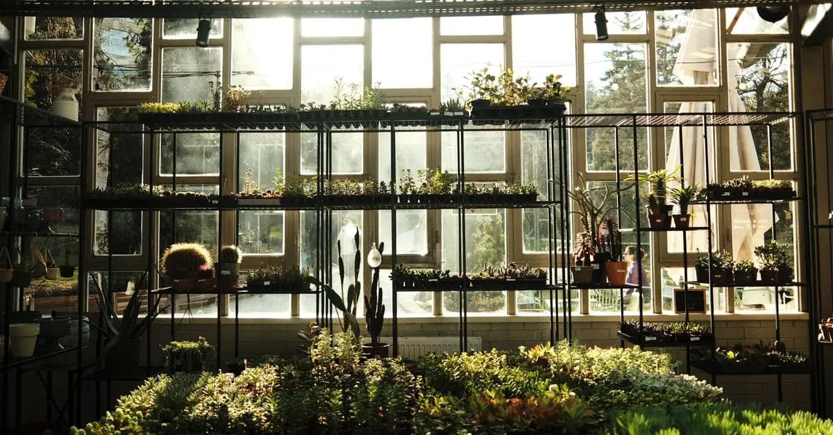 Comment choisir les bonnes plantes pour votre jardin