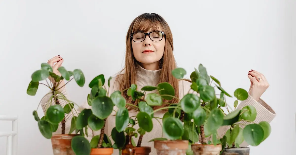 Les bienfaits des plantes sur la santé mentale