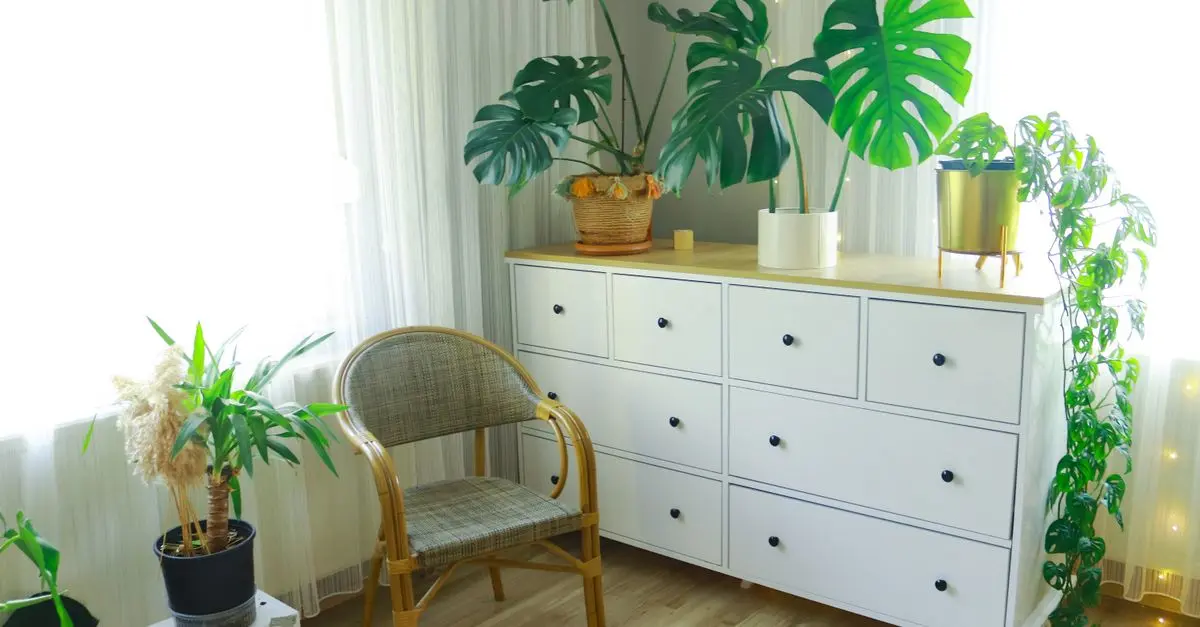 Les Meilleures Plantes d'Intérieur pour Épurer l'Air
