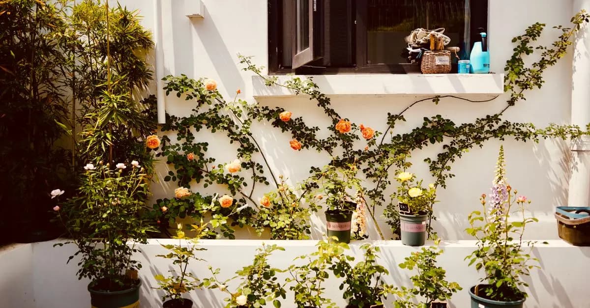 Comment choisir les meilleures plantes pour votre jardin