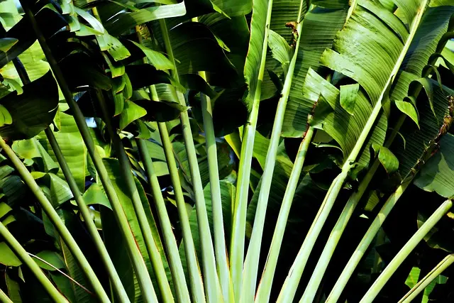 10 Astuces Incontournables pour Cultiver un Jardin Écologique