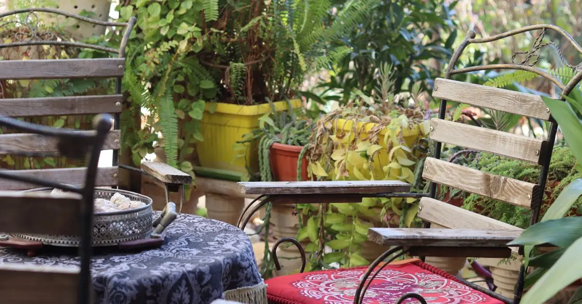Comment créer un jardin santé : guide pour un espace apaisant