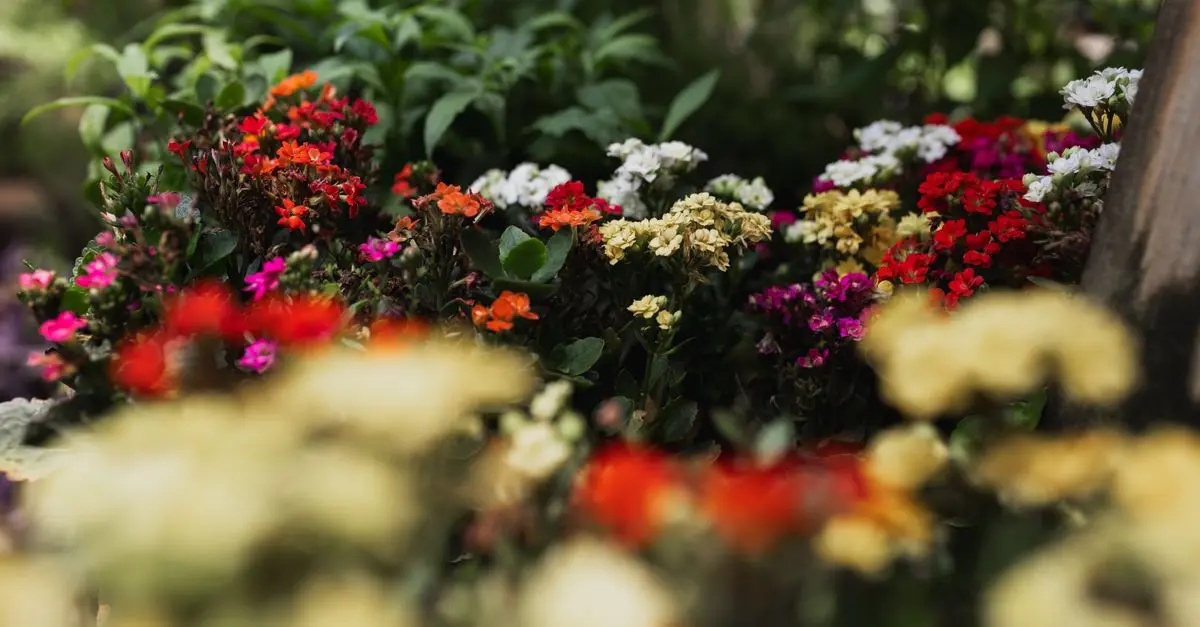 10 Astuces Pour Créer un Jardin Écologique et Durable