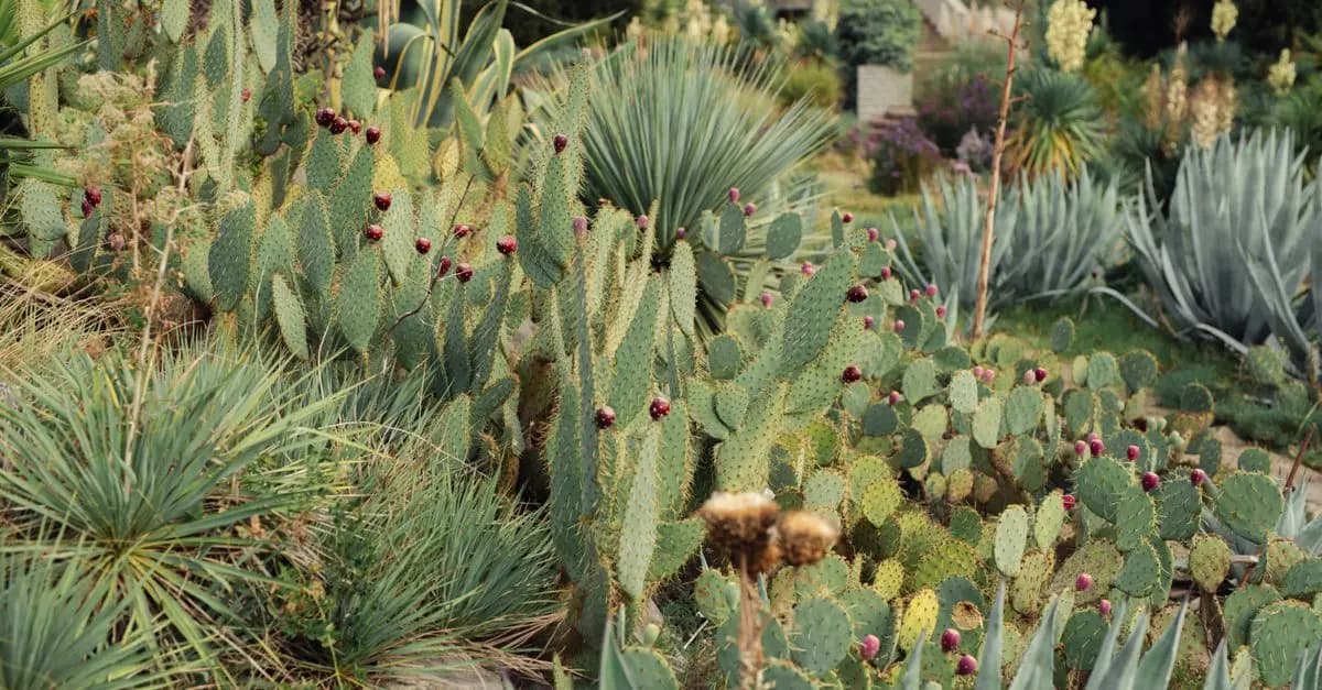 10 Plantes Parfaites Pour Créer Un Jardin Écologique Épanouissant