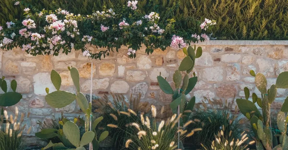 7 Plantes Méditerranéennes à Cultiver Pour Un Jardin Écologique