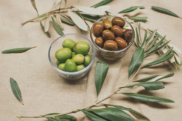 Comment choisir les plantes idéales pour un jardin méditerranéen