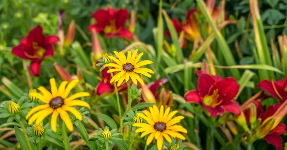 Guide pratique pour créer un jardin fleuri toute l'année