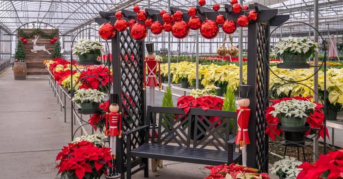 Les meilleures techniques pour un jardin d'hiver éblouissant