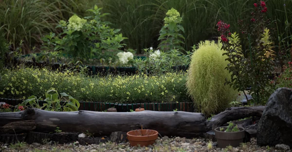 Comment choisir les meilleures plantes pour un jardin d'été