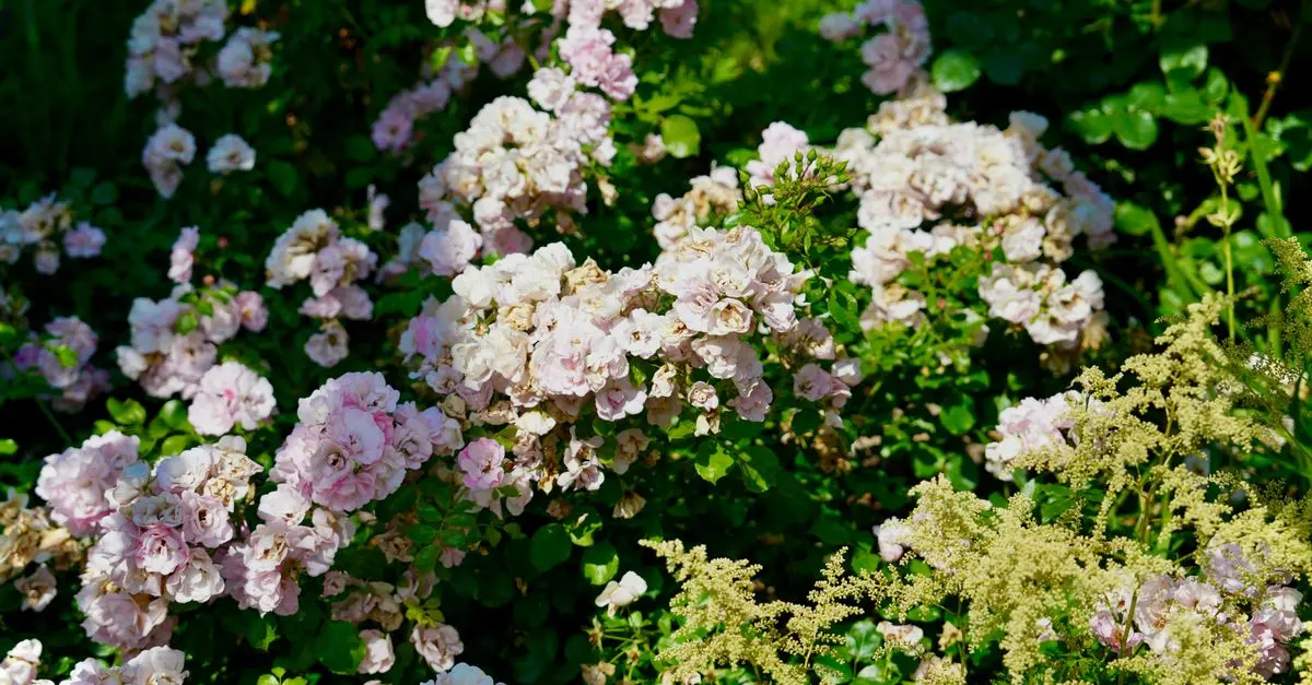 Les bienfaits du jardinage pour votre santé physique et mentale