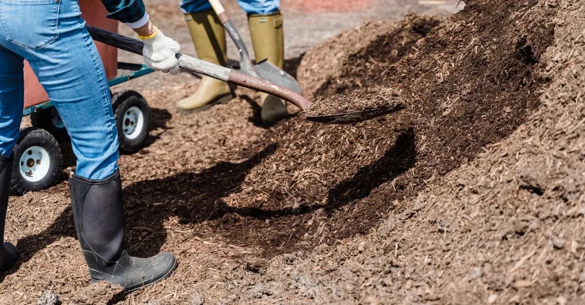 7 erreurs courantes en jardinage et comment les éviter