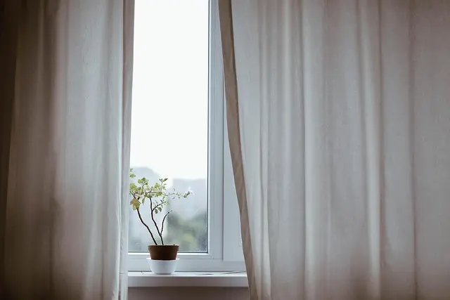 10 astuces pour réussir la culture de vos plantes d'intérieur