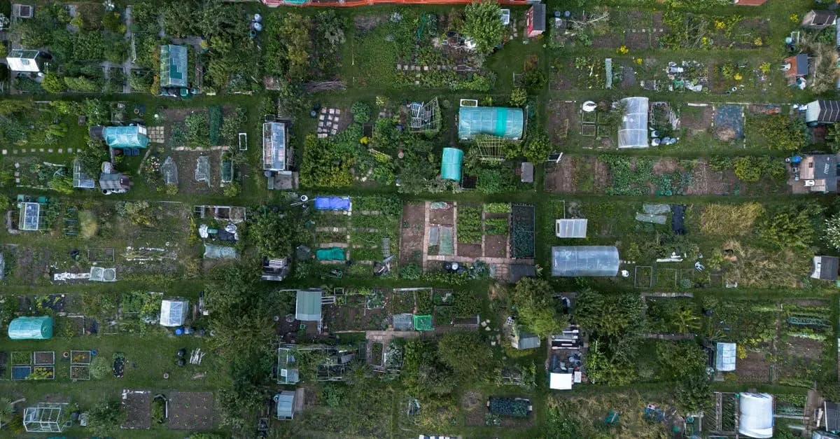 Les meilleures techniques de jardinage écologique à essayer