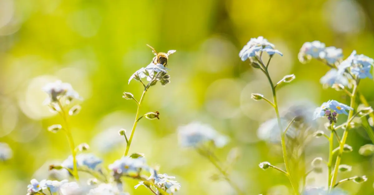 Comment créer un jardin sélectif : Techniques et étapes clés