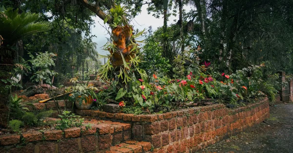 Créer un jardin écologique : Conseils et astuces