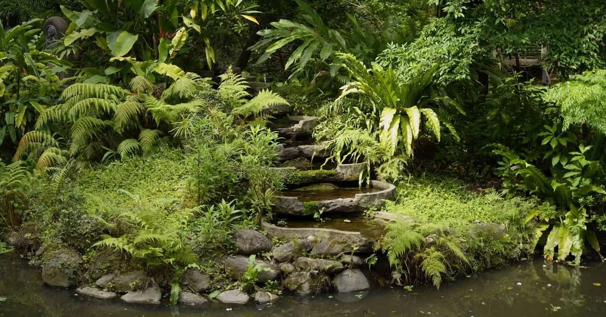Comment créer un jardin durable et respectueux de l'environnement