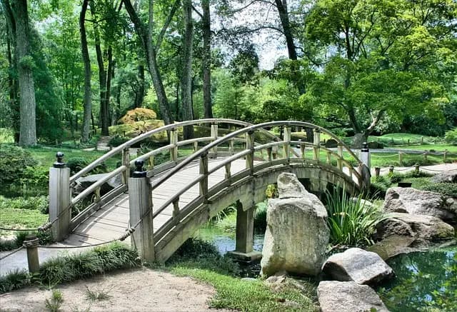 10 Astuces pour Aménager un Jardin Écologique et Durable