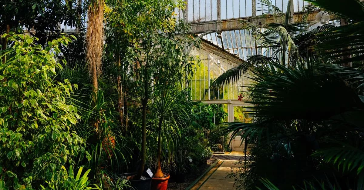 Comment choisir les bonnes plantes pour un jardin durable