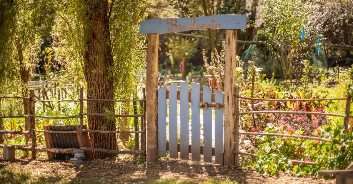Les indispensables pour réussir votre jardin potager